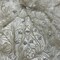 1 Yard Beaded Lace Fabric Embroidered on 100% Polyester Net Mesh, 52" Wide, Premium Fabric for Dressmaking & Crafting